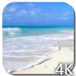 paradise video live wallpaper android application logo